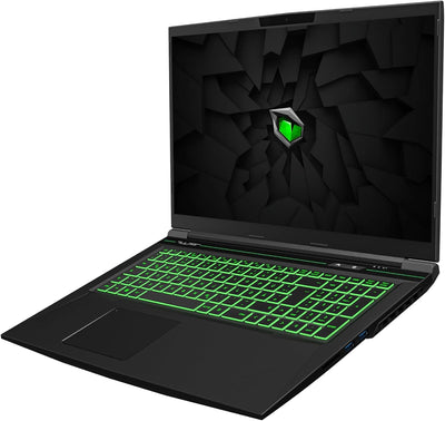 TULPAR T7 V20.6.3 Gaming Laptop | 17,3'' FHD 1920X1080 144HZ IPS LED-Display | Intel Core i7 13700H