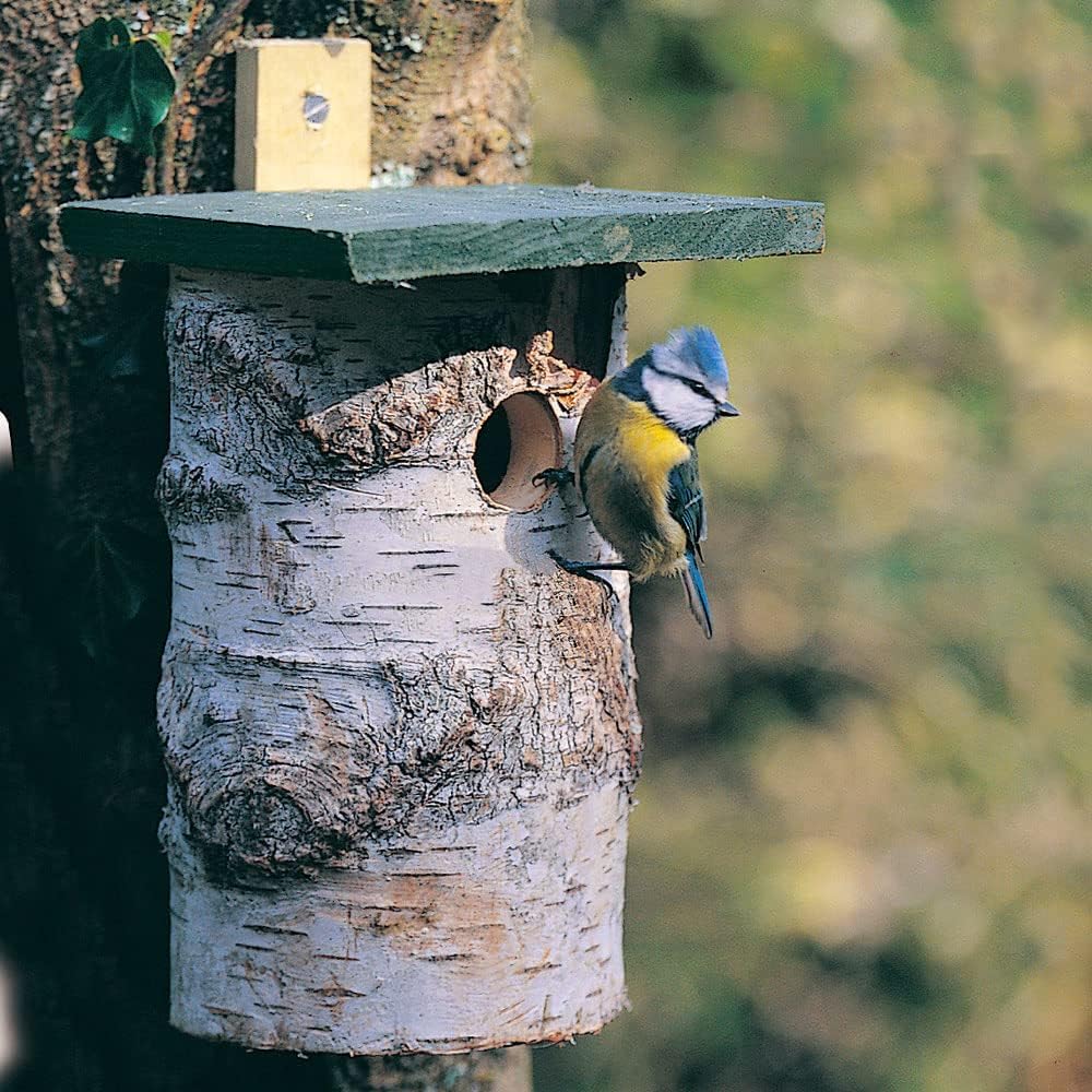 CJ Wildlife Nistkasten – Vogelnistkasten für draussen – Birke FSC® 100% – 32 mm Einflug – für Kohlme
