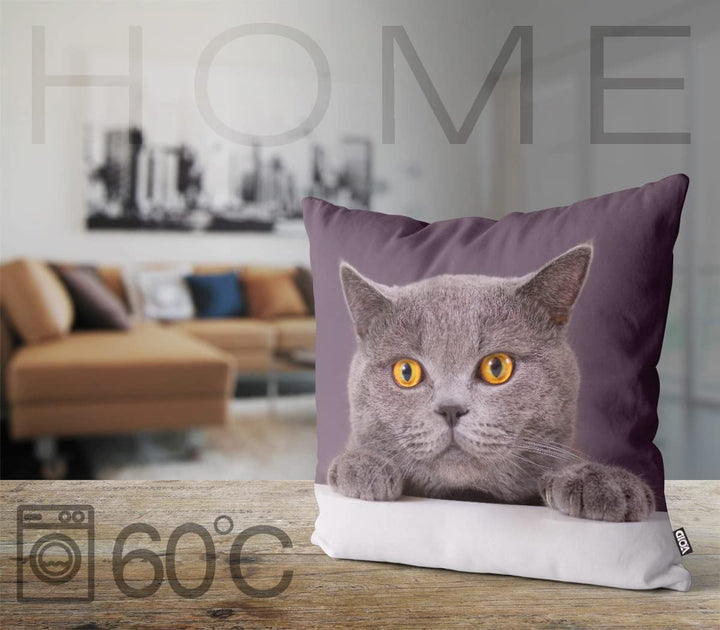 VOID Katze Britisch Kurzhaar Kissenbezug Kissenhülle Sofakissen Kissen Deko Outdoor-Kissen Dekokisse