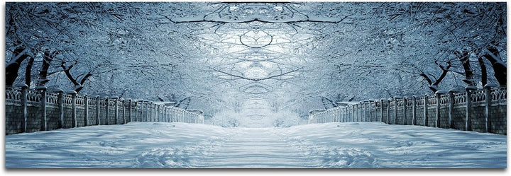 Wandbild auf Leinwand als Panorama in 150x50cm Winterlandschaft Bäume Weg Baumtunnel Schnee