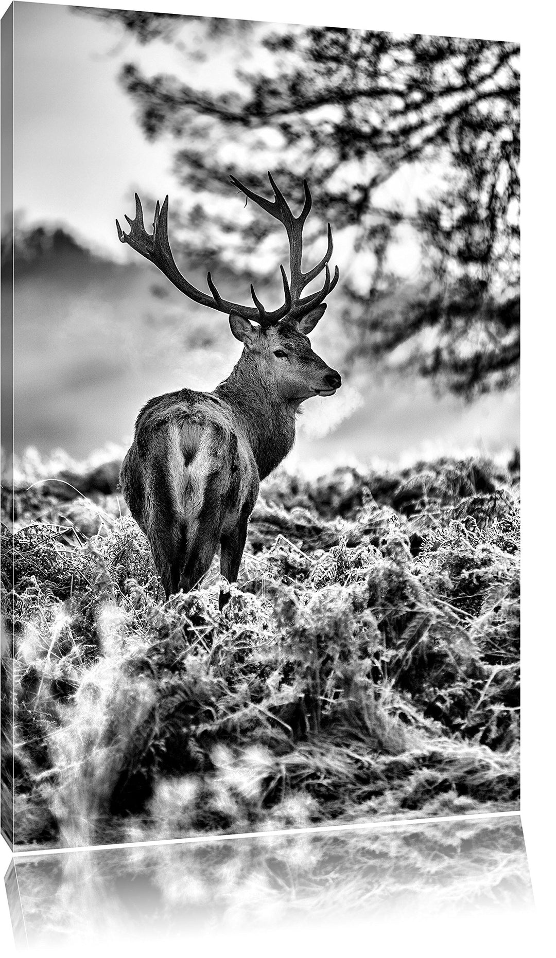 Pixxprint Hirsch im Wald als Leinwandbild/Grösse: 100x70 / Wandbild/Kunstdruck/fertig bespannt, 100x