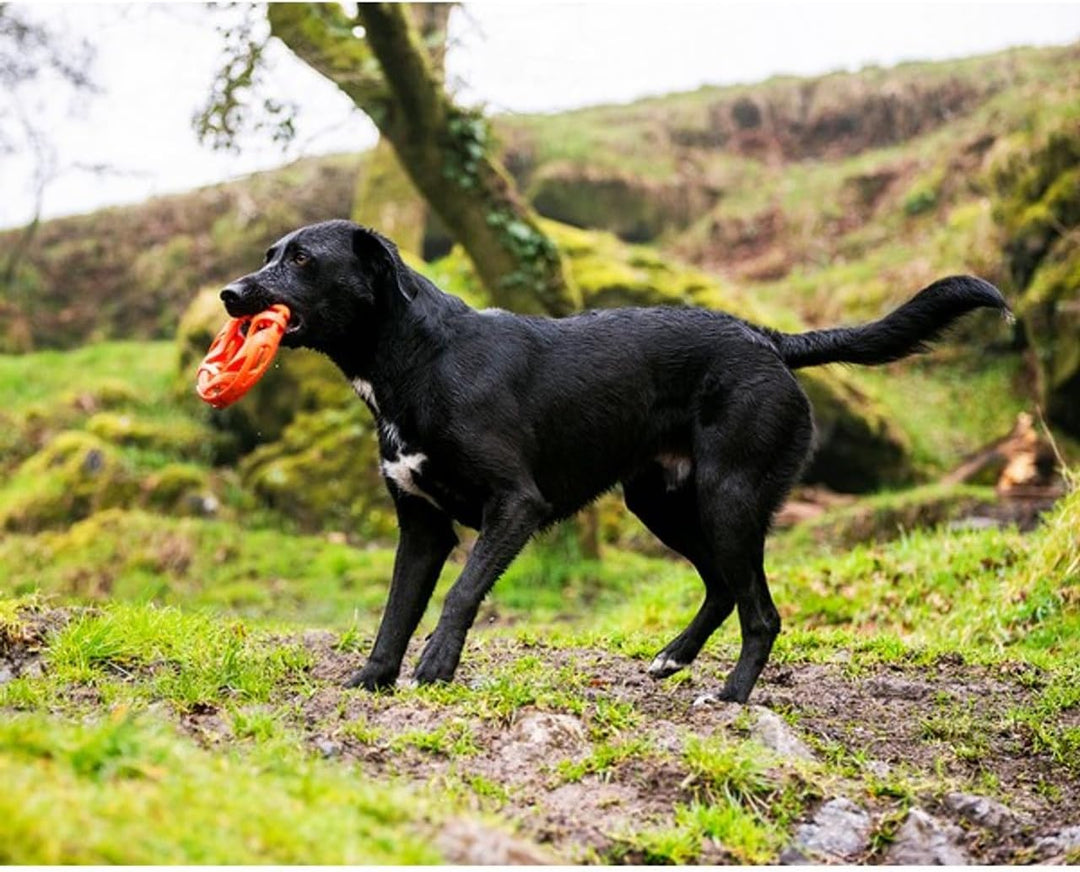 Chuckit! Breathe Right Apportierrad, Fetch Wheel Mehrfarbig Fetch Wheel, Mehrfarbig Fetch Wheel