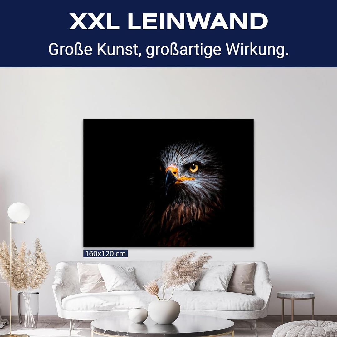 wandmotiv24 Leinwandbild Tiere 80x60cm, Querformat, Adler, Deko, Bilder auf Leinwand, Wanddeko, XXL