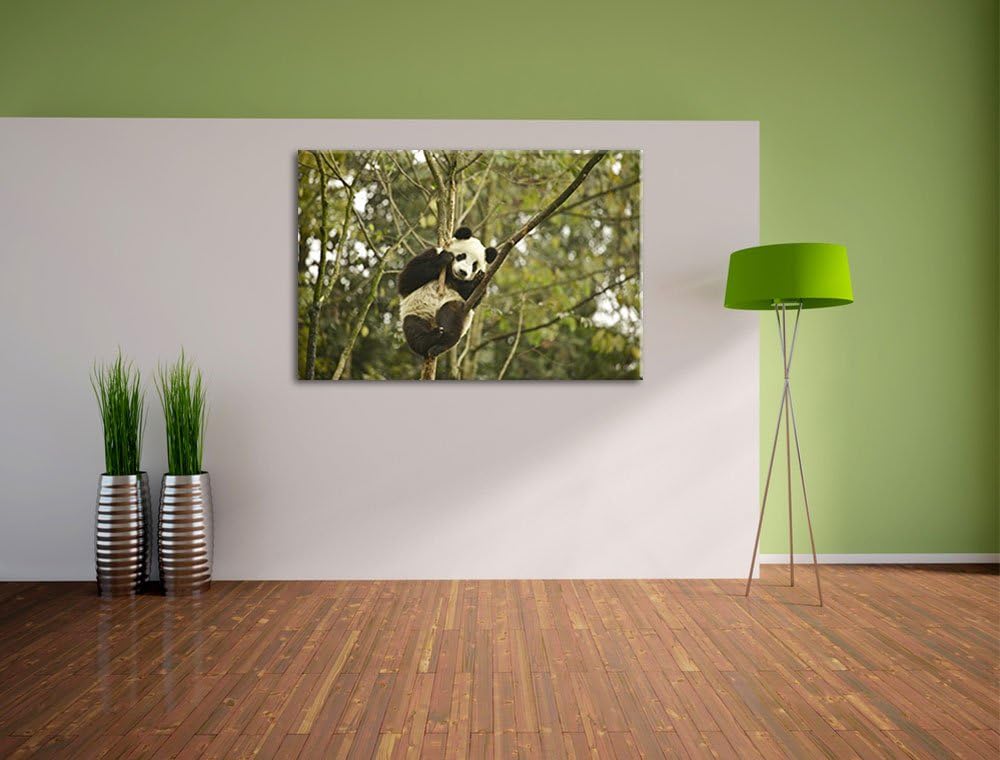 niedlicher Pandabär auf Baum Leinwand, XXL riesige Bilder fertig gerahmt mit Keilrahmen, Kunstdruck