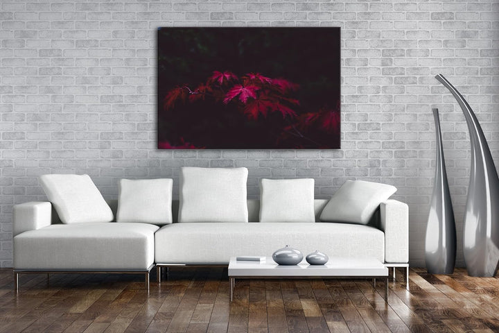 deyoli bezaubernder roter Ahornzweig Format: 80x60 als Leinwand, Motiv fertig gerahmt auf Echtholzra