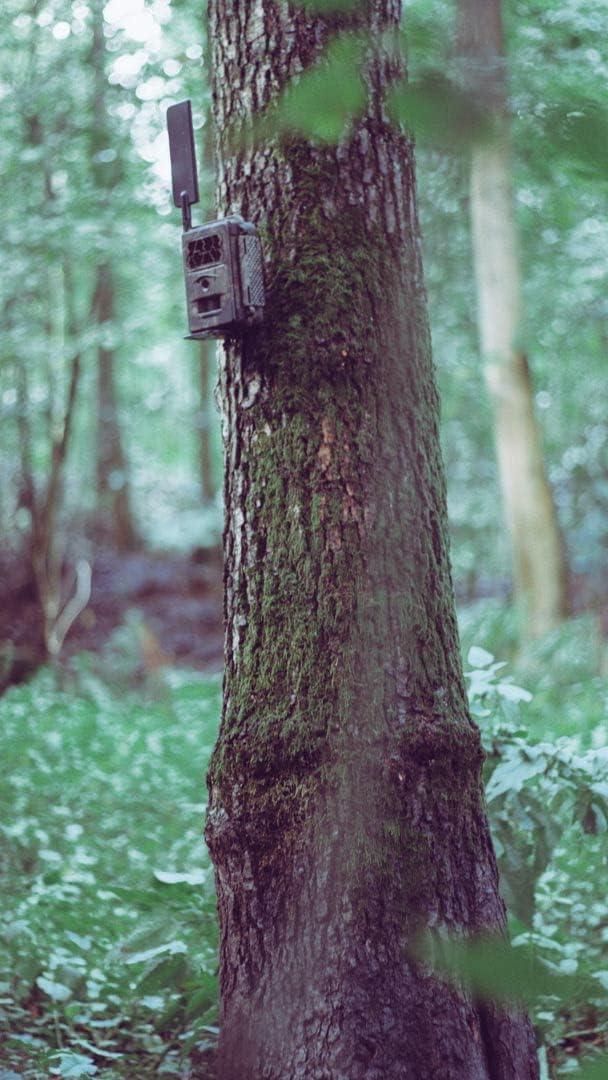 SEISSIGER Wildkamera Baumstativ zum Befestigen am Baum