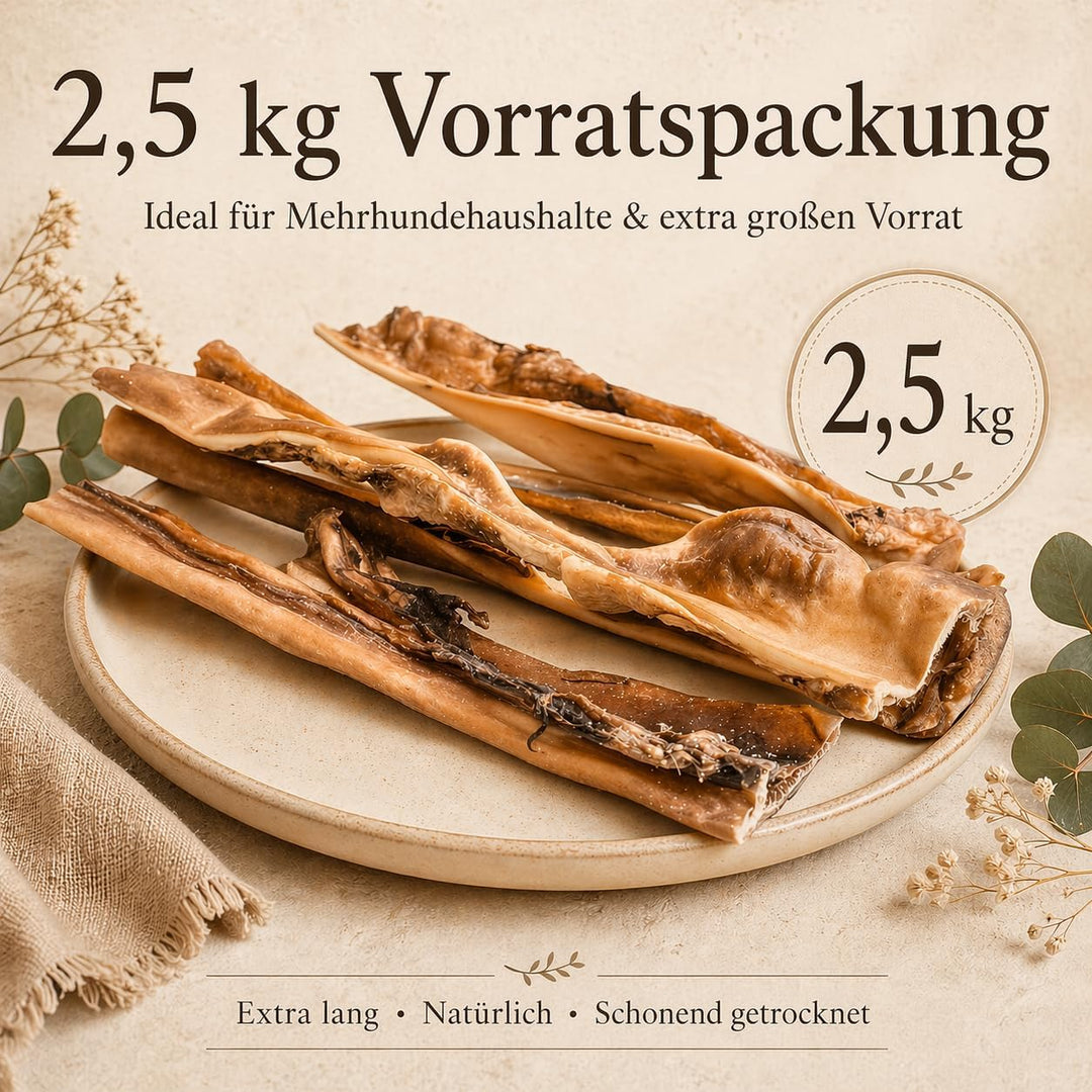 123...Hund dabei! - Rinderkopfhaut 30cm - 2,5kg, schonend getrocknete Rinderkopfhaut für Hunde, Qual