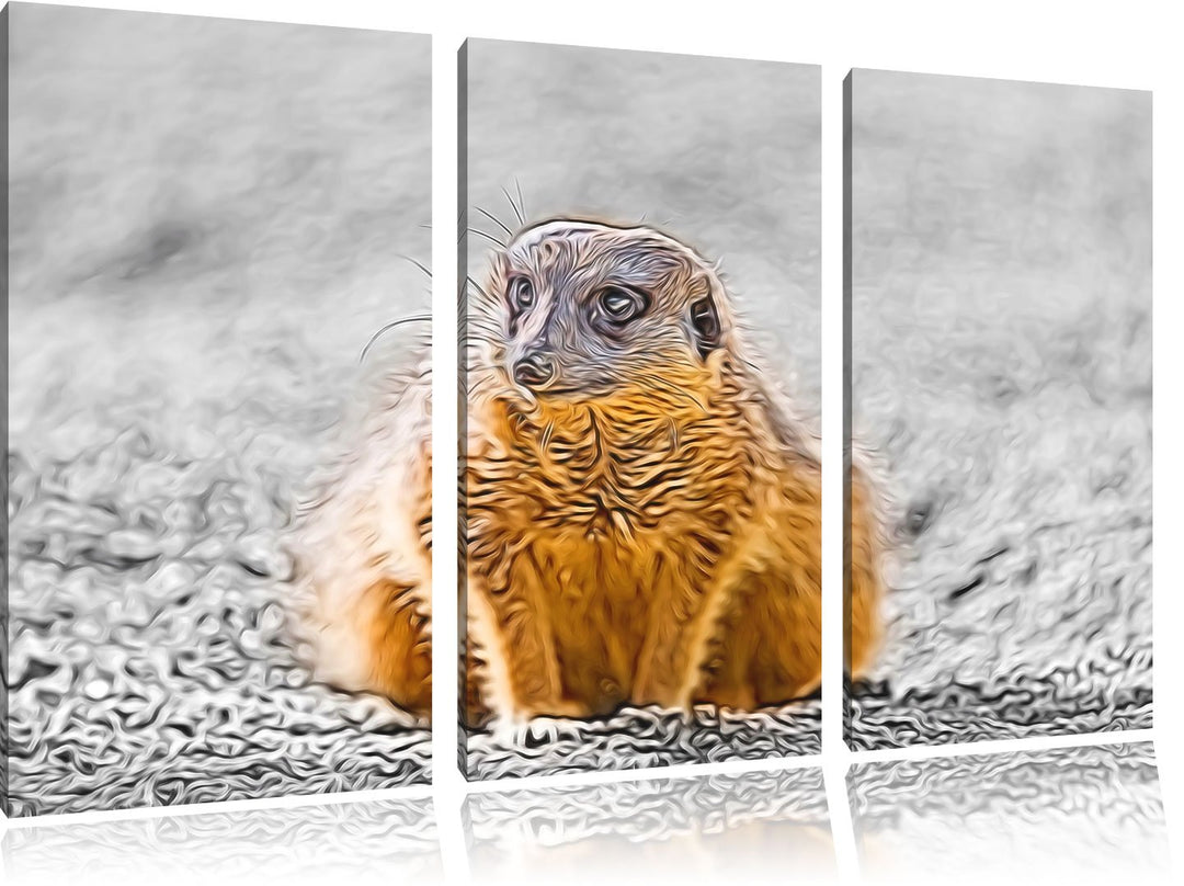 schüchternes Erdmännchen schwarz/weiss Deluxe 3-Teiler Leinwandbild 120x80 Bild auf Leinwand, XXL ri
