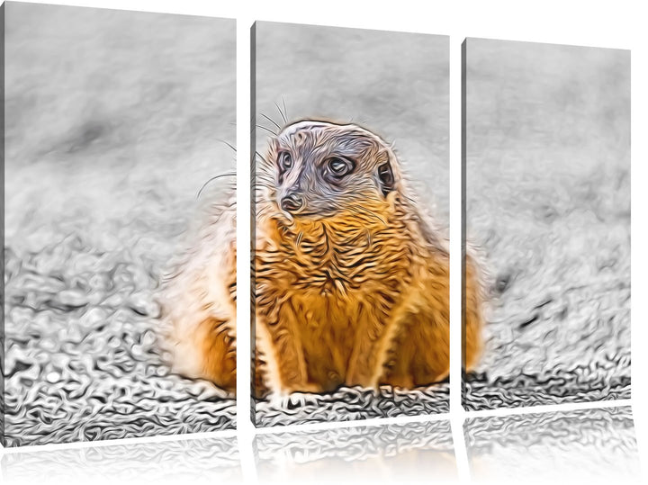 schüchternes Erdmännchen schwarz/weiss Deluxe 3-Teiler Leinwandbild 120x80 Bild auf Leinwand, XXL ri