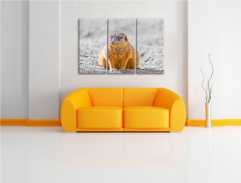 schüchternes Erdmännchen schwarz/weiss Deluxe 3-Teiler Leinwandbild 120x80 Bild auf Leinwand, XXL ri