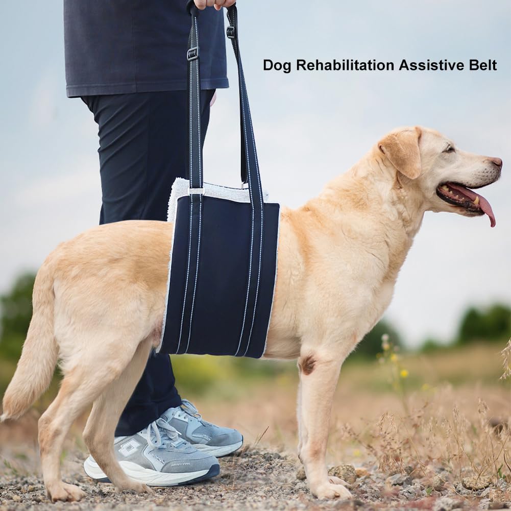 Hunde Tragehilfe, Verstellbare Gehhilfe für Hunde, Hundegeschirr mit Gehhilfe, Hinten Lift Support G