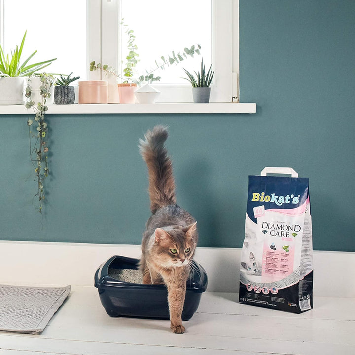 Biokat's Diamond Care Fresh mit Duft - Feine Katzenstreu mit Aktivkohle und Aloe Vera - 1 Sack (1 x