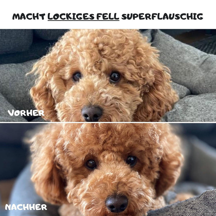 Moki Bär Softbürste Hundebürste Pudel mit Schutznoppen für besonders empfindliche Tiere I Ideal für