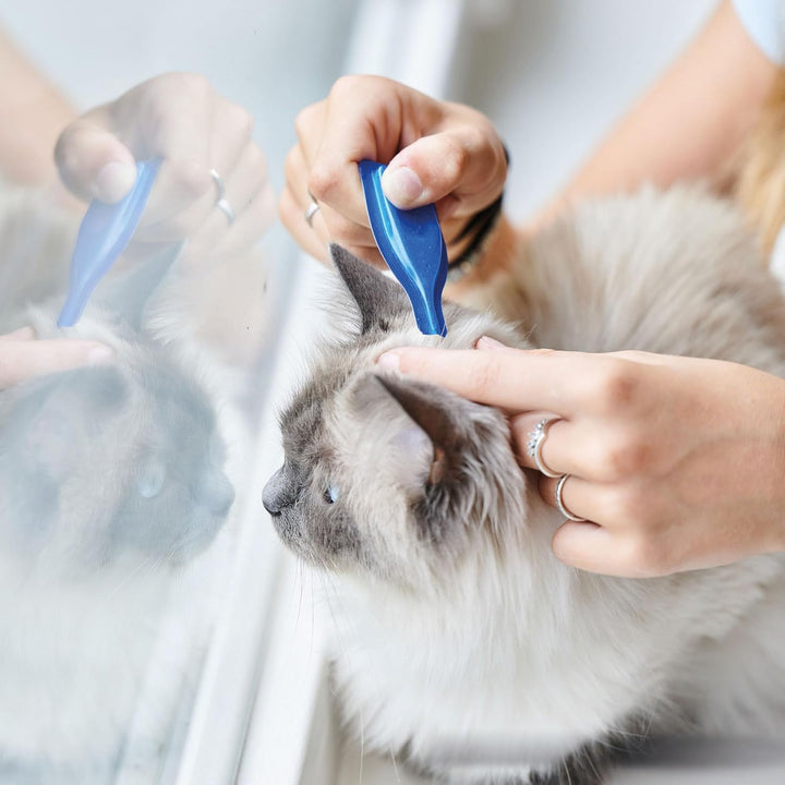beaphar No Stress Spot on Cat0.4ML - 3 Pipetten für Katzen