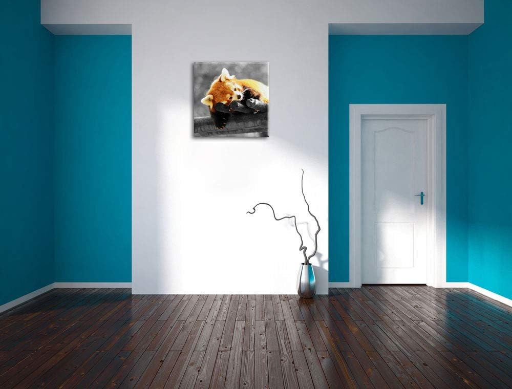 Pixxprint süsser Panda träumt schwarz/weiss, Format: 70x70 auf Leinwand, 70x70