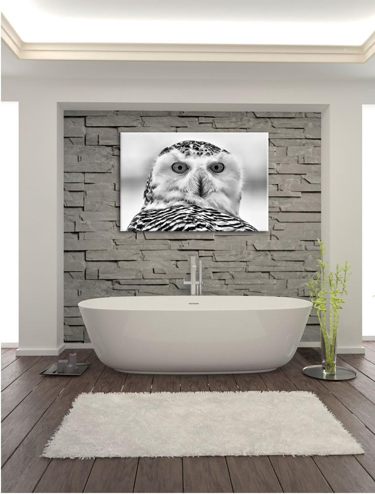 Monocrome, Schnee-Eule , Format: 100x70 auf Leinwand, XXL riesige Bilder fertig gerahmt mit Keilrahm