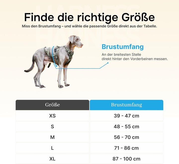 FREUDENTIER Hundegeschirr mit Mesh-Polsterung - Höchster Komfort, bombenfester Sitz & maximale Siche