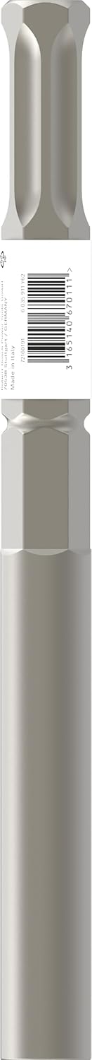 Bosch Professional Erdnageleintriber (mit 22-mm-Sechskantschaft) 22 mm, 22 mm