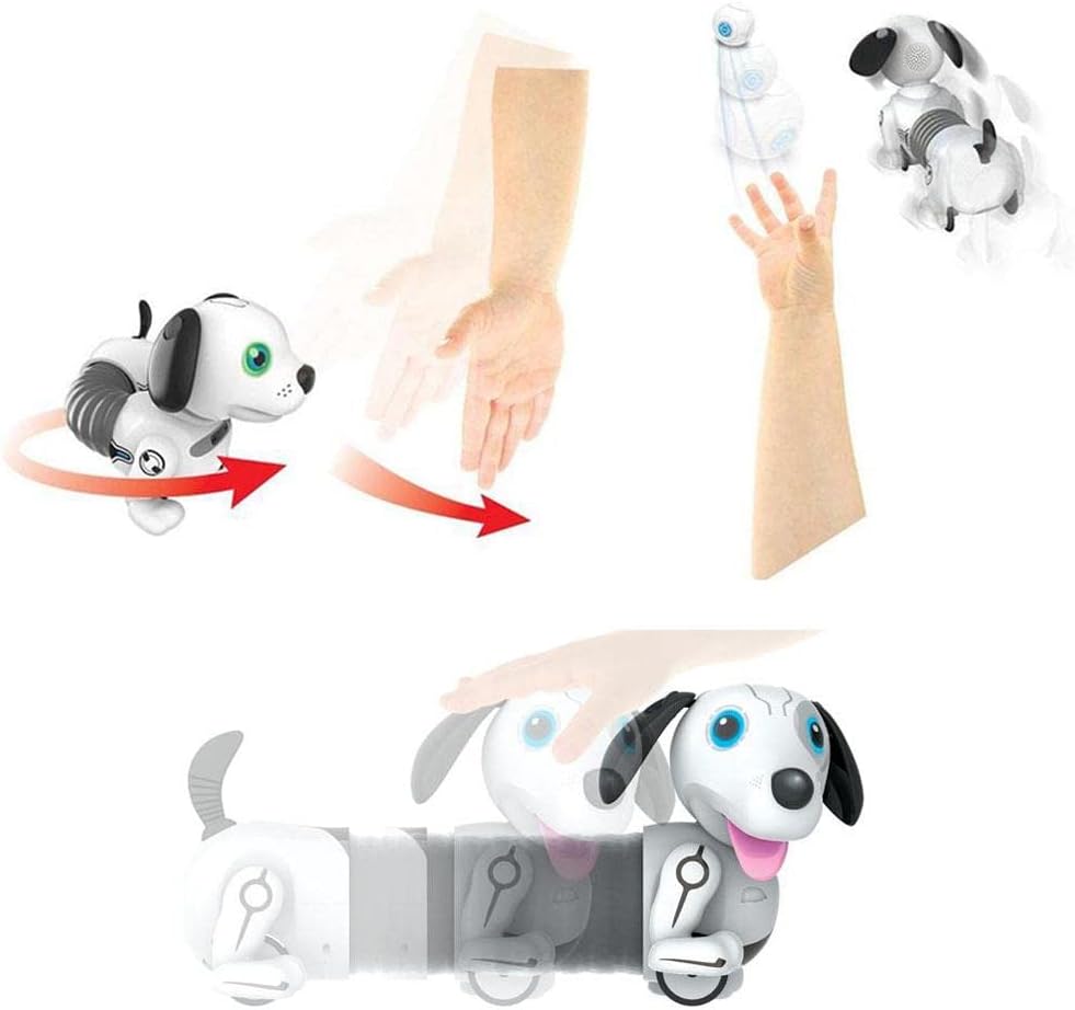 JUNIOR ROBO DACKEL Mehrfarbig, Mehrfarbig