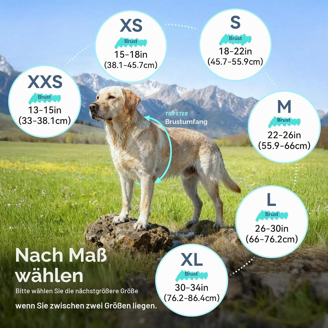VIVAGLORY Hunderegenmantel für kleine Hunde, einfach an- und ausziehbare Regenbekleidung, reflektier