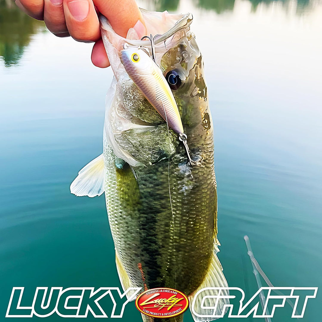 Lucky Craft Sammy 65 Topwater Angelköder, 6,3 cm, schwimmende Süsswasserforelle, Kleinmaulbarschköde