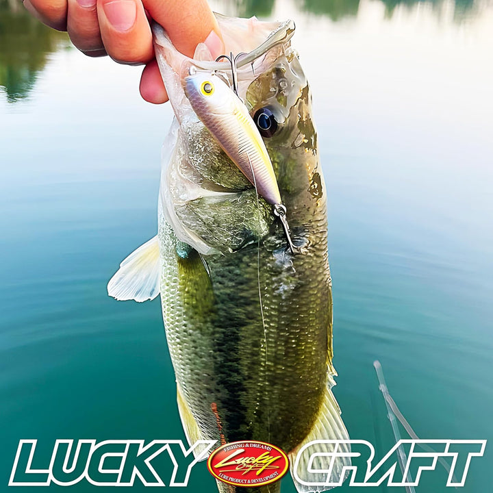 Lucky Craft Sammy 65 Topwater Angelköder, 6,3 cm, schwimmende Süsswasserforelle, Kleinmaulbarschköde