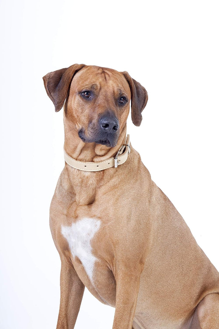 Dingo Hundehalsband aus weichem Leder mit Futter,gewachstem Leder Soft 40 mm x 70 cm Natur 11107 40m