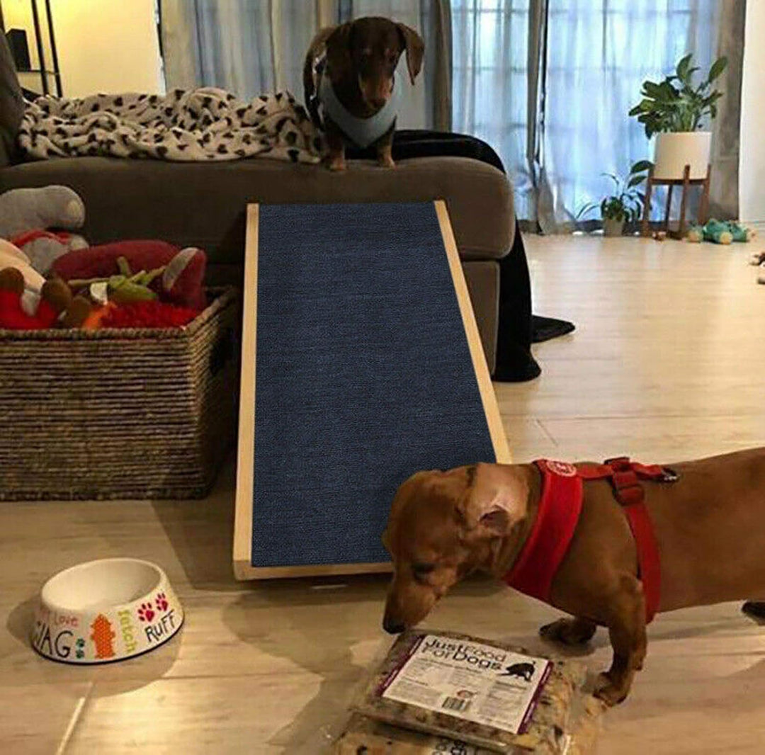 DayPlus Hunderampe, Hunderampe für Auto Bett Sofa, Auto Rampe für Hund, Anti-Rutsch Teppich, Haustie