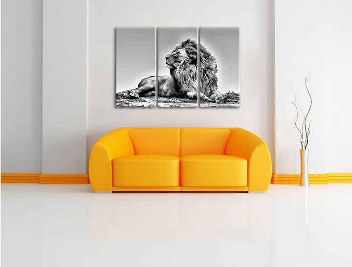 Pixxprint liegender Löwe als Leinwandbild | Grösse: 3 Teilig (120x80) | Wandbild| Kunstdruck | ferti