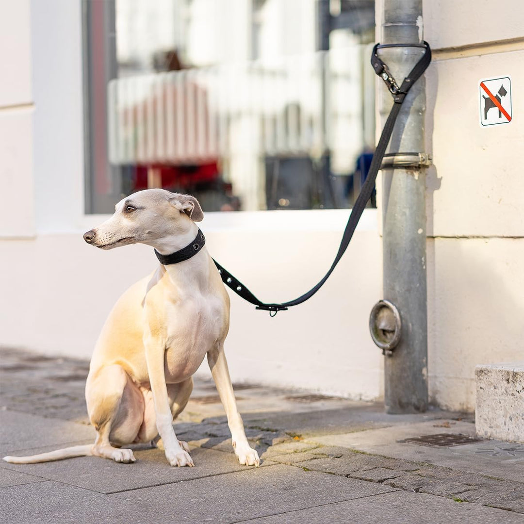 Hundeleine 2.0 LOCK DOG Schnitt und bissfest + 2 Schlösser und 3 Schlüssel sicher abschliessen Leine