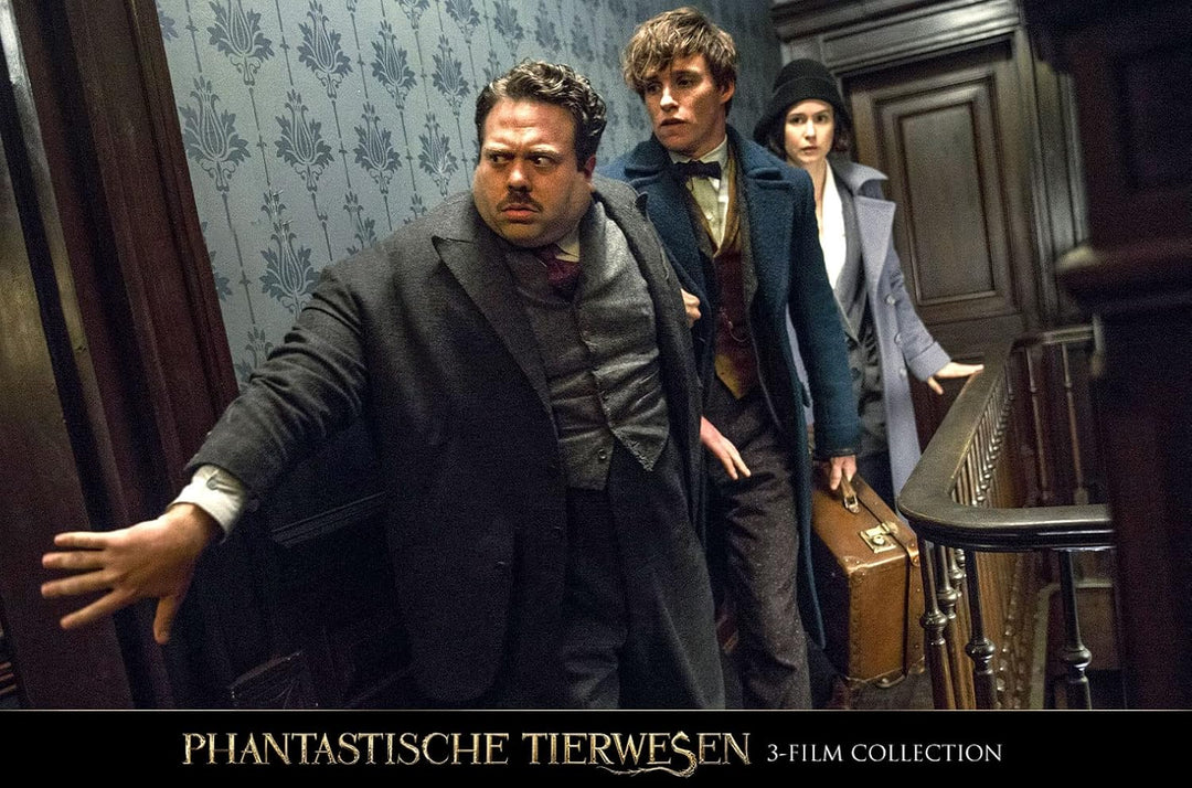 Phantastische Tierwesen 3-Film Collection [3 DVDs], DVD