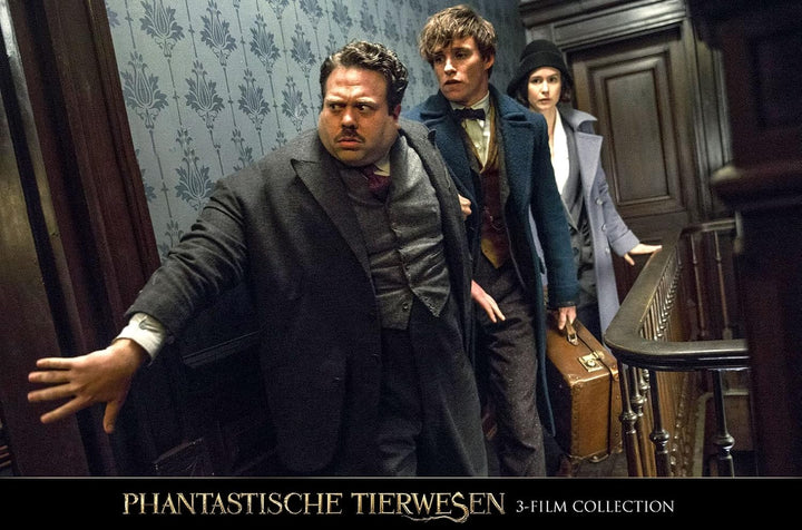 Phantastische Tierwesen 3-Film Collection [3 DVDs], DVD