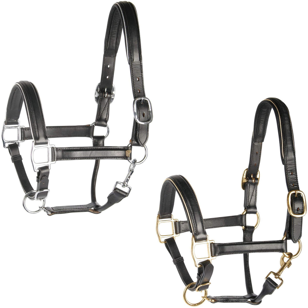 Harry's Horse Halster Leder, zwart met bies, Farbe:Silber, Grösse:cob M silight brauner, M silight b