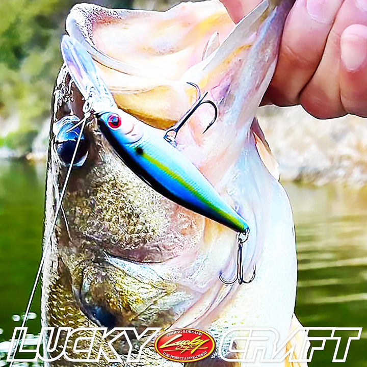 Lucky Craft PT78DD-269BEGL Zeiger 78DD BE Gill