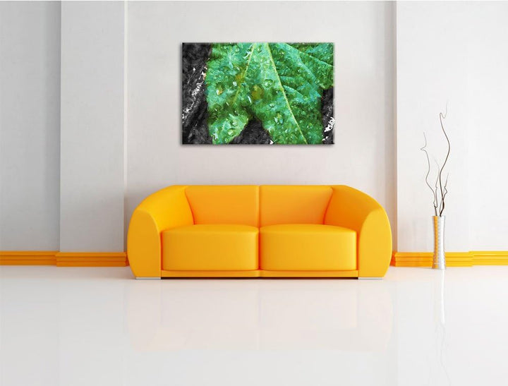 viele kleine Regentropfen auf Blatt schwarz/weiss Deluxe Format: 100x70 cm auf Leinwand, XXL riesige