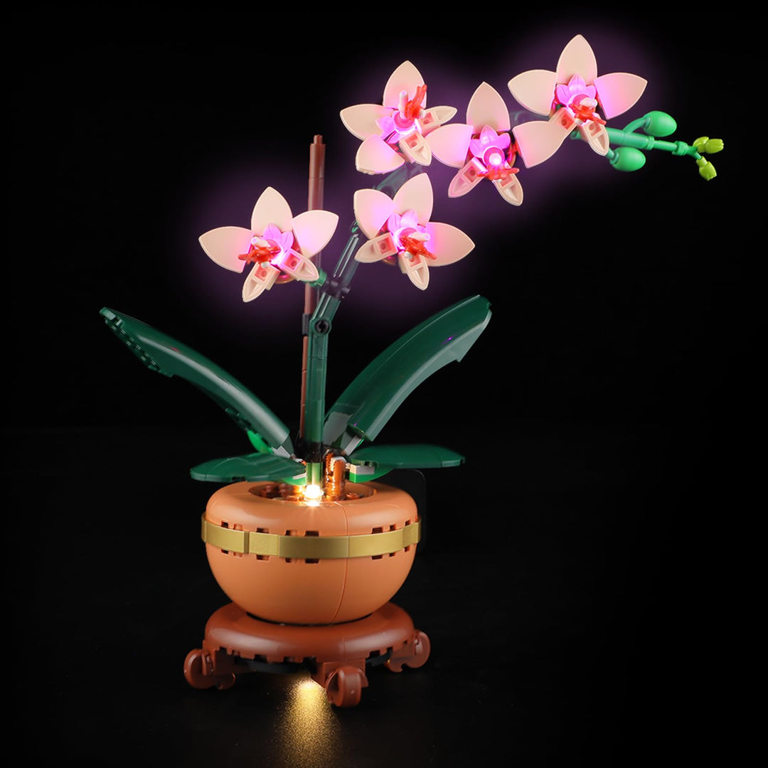 LIGHTAILING Licht-Set Für Lego-10343 Mini-Orchidee - Led-Beleuchtungsset Kompatibel Mit Lego Baustei