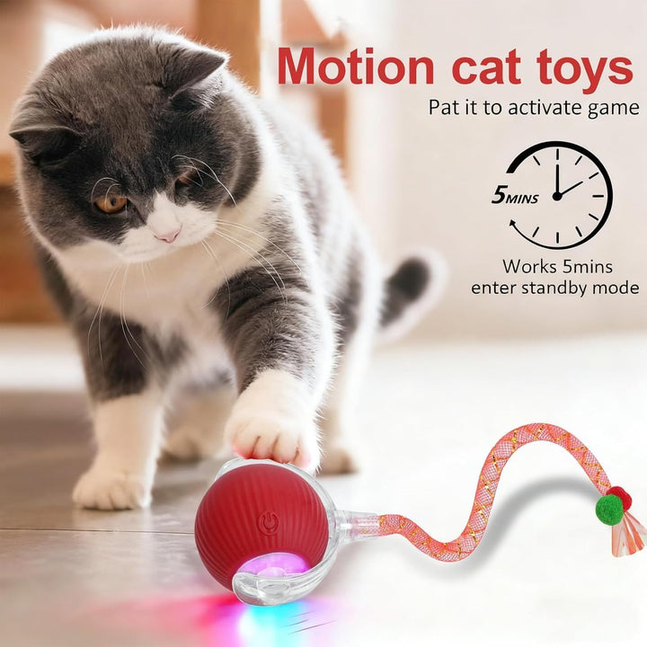 Katzenspielzeug Selbstbeschäftigung,Katzenspielzeug Ball Mit Einem Blinkenden und Schnell Schwingend