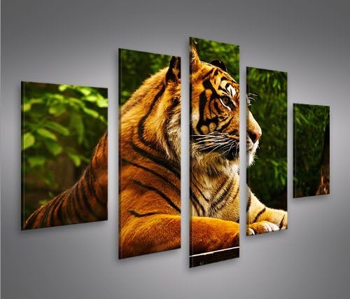 islandburner Bild Bilder auf Leinwand Tiger MF XXL Poster Leinwandbild Wandbild Art up Your Life ®