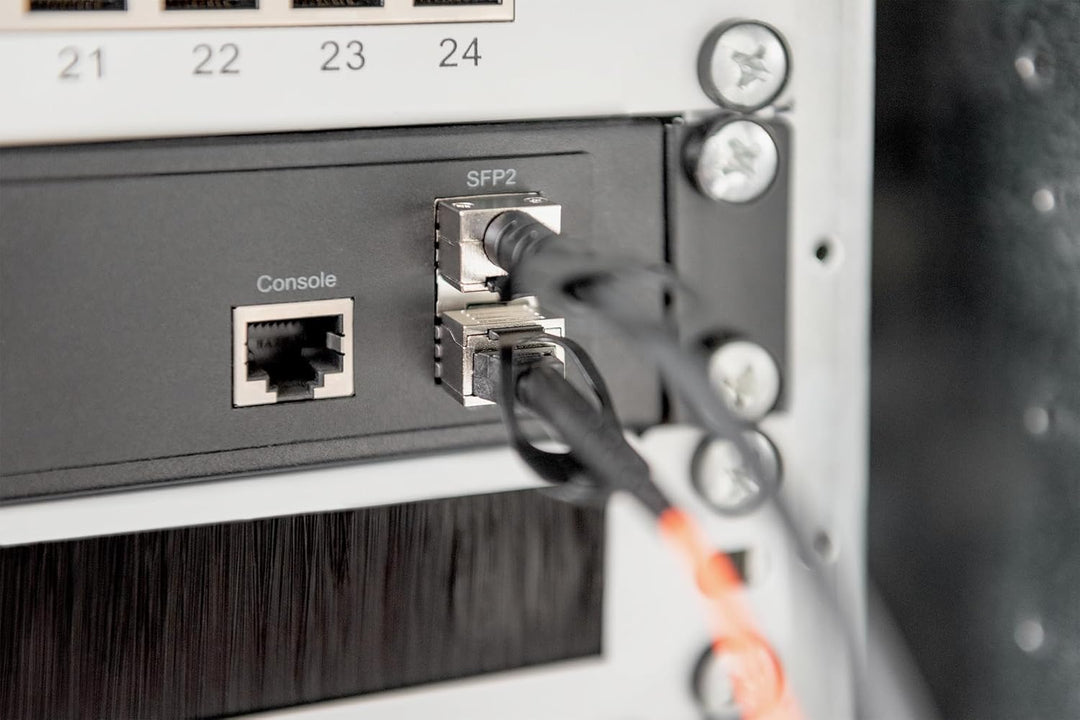 DIGITUS Twinax DAC Netzwerkkabel, SFP+, 10 m, bis 10.52 Gbit/s, AWG 30, für Diverse Marken, Schwarz