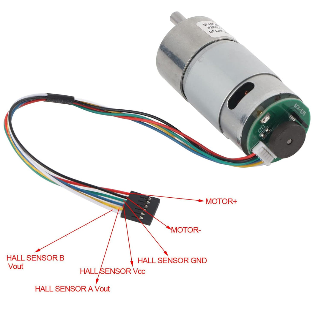 DC 12/24V Getriebemotor 10-1500U/min mit hoher Drehzahlreduzierung und Encoder, exzentrische Abtrieb