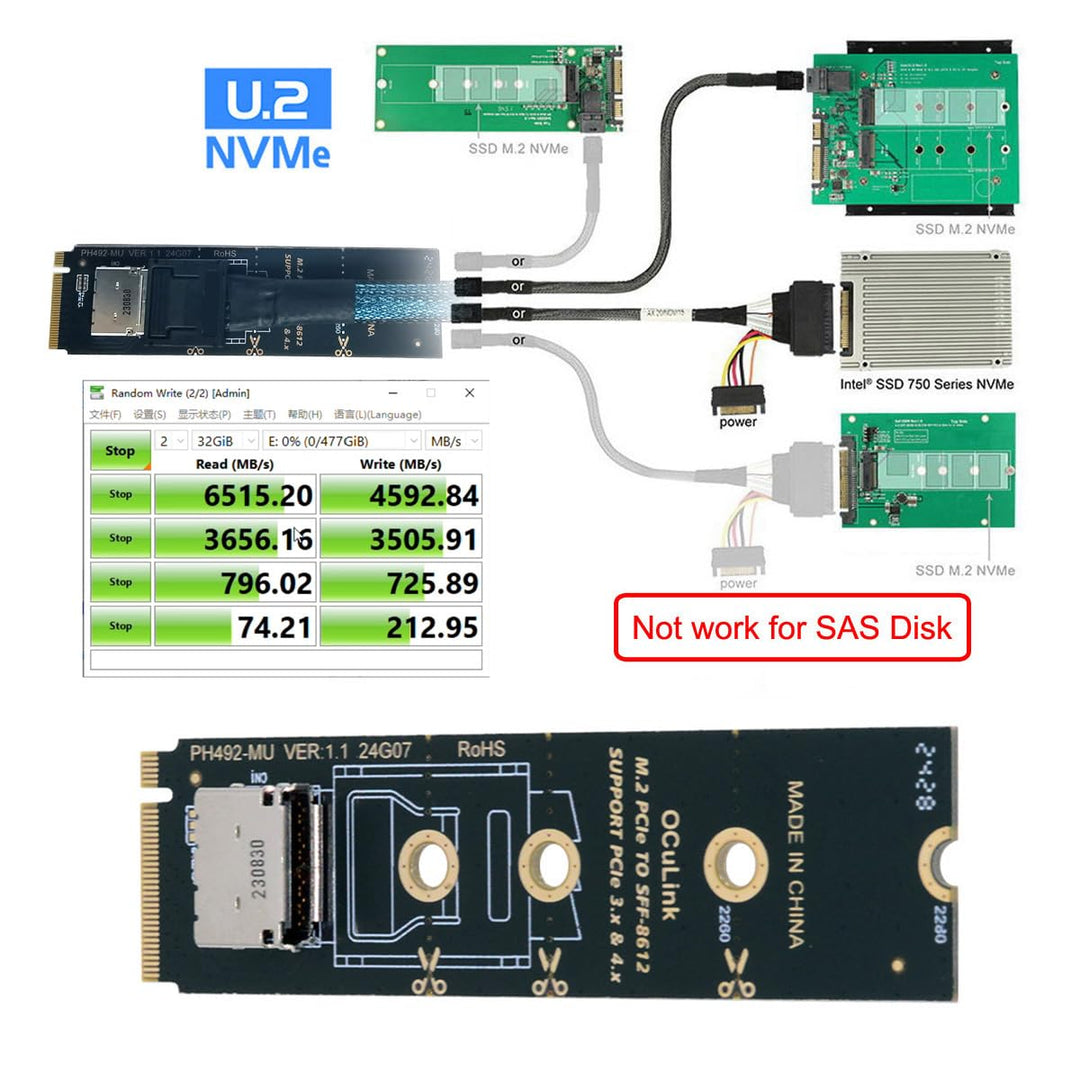 CY Karte 2280 PCI-E4.0 M.2 M-Key zu Oculink SFF-8612 SFF-8611 Vertikaler Hostadapter für NVME U.2 SS