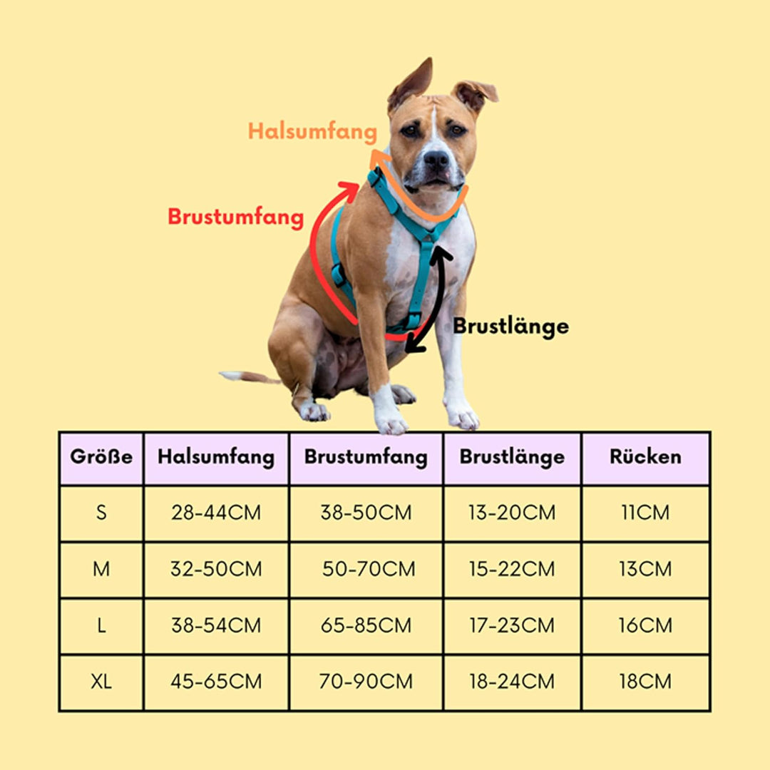 Arizona Hotdogs Hundegeschirr PVC | Stabil und Wasserfest | Teal Blaugrün XL XL Blaugrün, XL Blaugrü