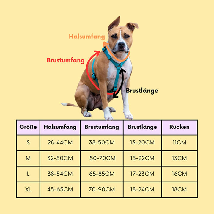 Arizona Hotdogs Hundegeschirr PVC | Stabil und Wasserfest | Teal Blaugrün XL XL Blaugrün, XL Blaugrü