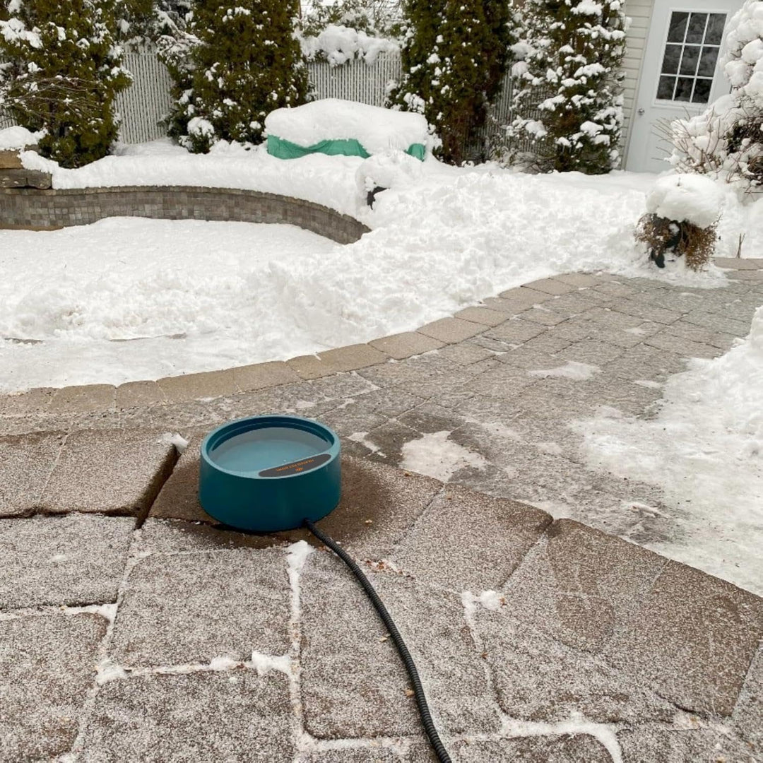 Beheizter Wassernapf für Hunde Hühnertränke Frostsicher Wassernapf Beheizt für Haustiere, Geflügel,