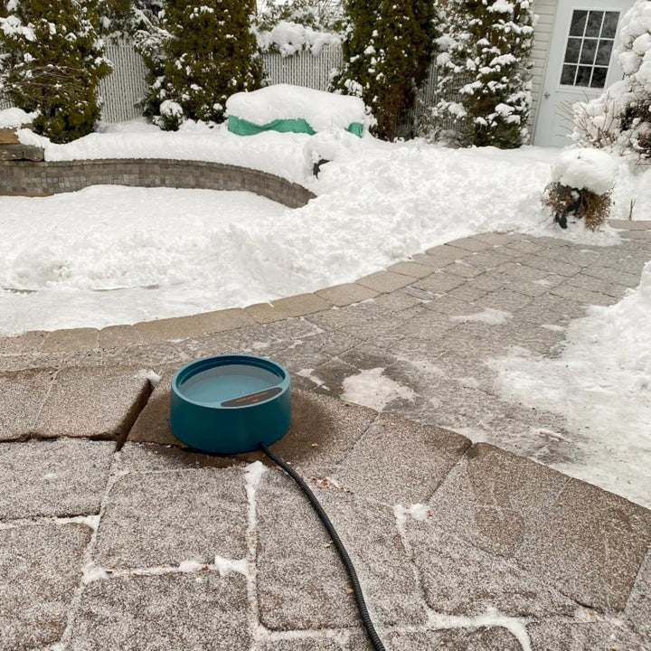 Beheizter Wassernapf für Hunde Hühnertränke Frostsicher Wassernapf Beheizt für Haustiere, Geflügel,