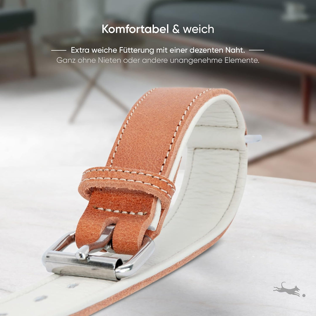 FREUDENTIER® Hundehalsband aus Leder, Made in Holland, gefüttert & super komfortabel, hochwertiges b