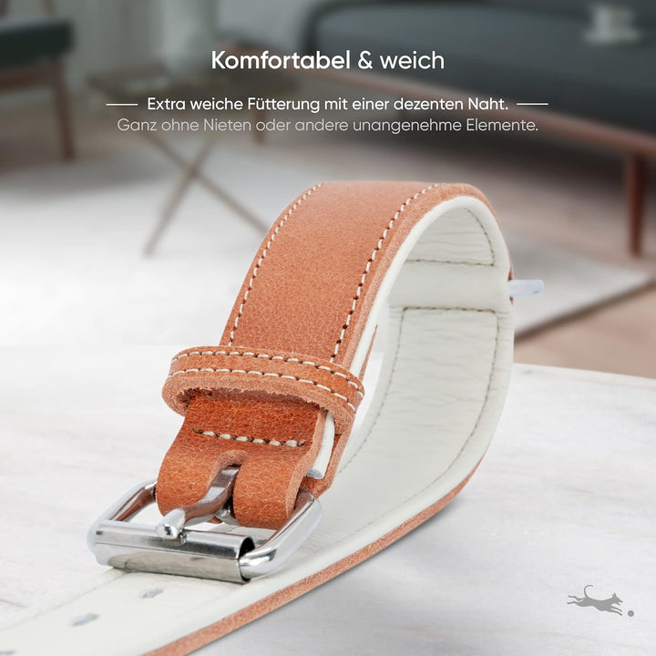 FREUDENTIER® Hundehalsband aus Leder, Made in Holland, gefüttert & super komfortabel, hochwertiges b