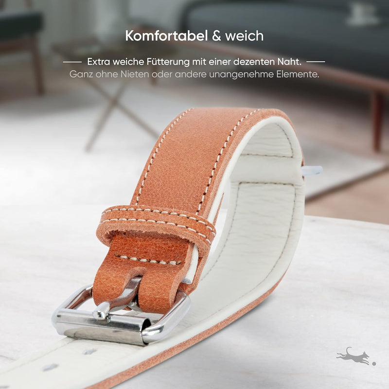 FREUDENTIER® Hundehalsband aus Leder, Made in Holland, gefüttert & super komfortabel, hochwertiges b