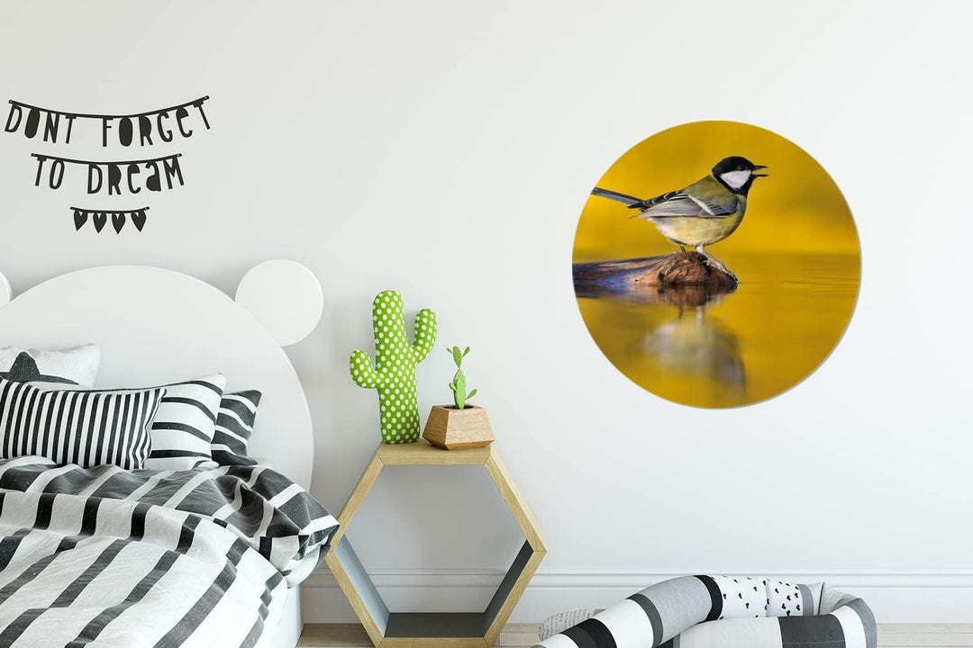 MuchoWow Wandbild Rund Wanddeko Deko Wohnzimmer Bilder 60x60 cm Kohlmeise - Vogel - Wasser, 60x60 cm