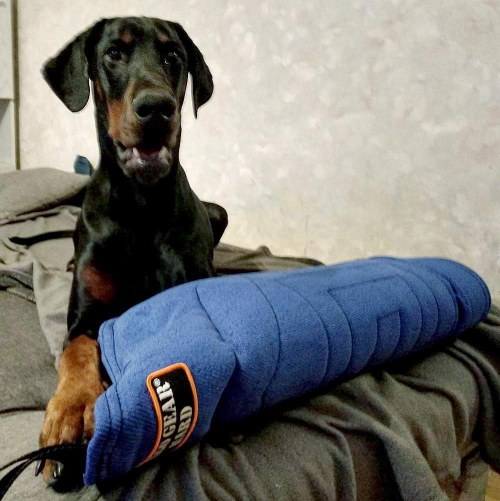 Dingo Gear Schutzarm Extern Hard aus Nylcot Blau Bissmanschette Hundeausbildung Hundetraining Bisstr